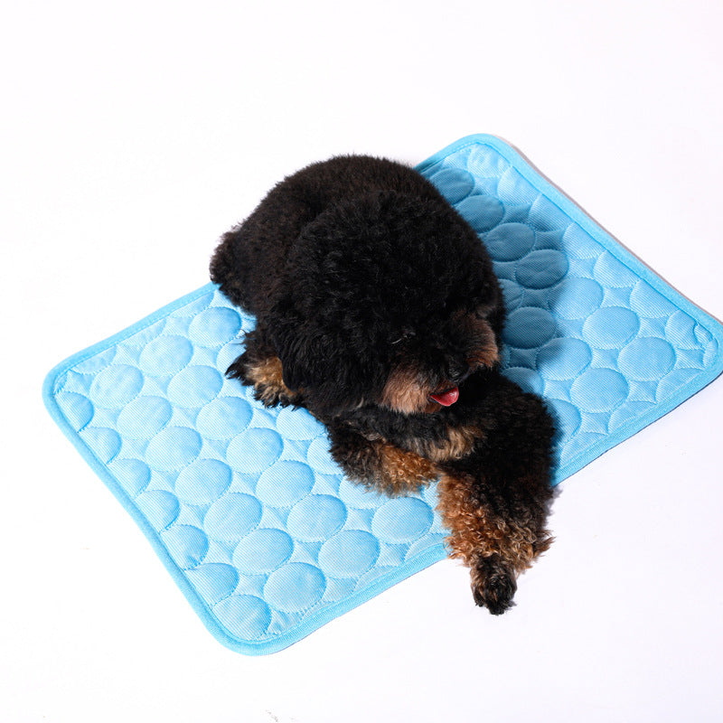 Pet Wellness
